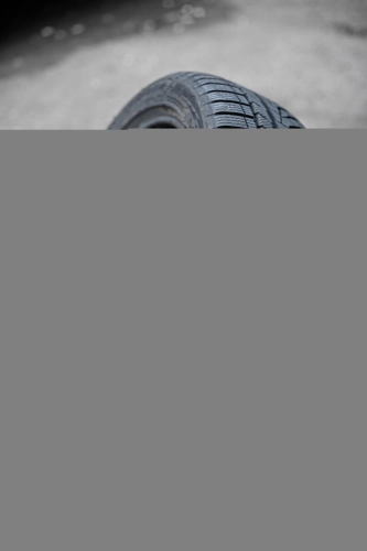 alpine_evo.jpg_38da07b645b4064c61f3c1bc12a66a9a_44575