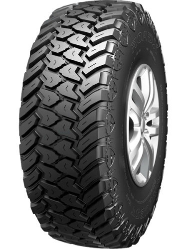 roadx_m_t.jpg_5c3e27c73b46ade4d329d1e32d60291c_41589